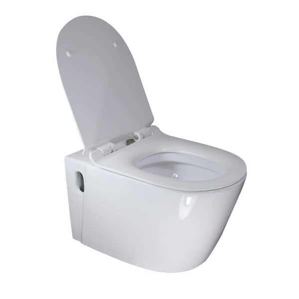 Eviva Storm 12 In Rough In 1 Piece 1 28 Gpf Dual Flush Elongated Toilet In White Seat Included Evtl914 The Home Depot