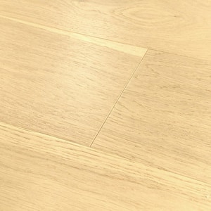 Take Home Sample-Sand Dollar Oak 3/8 in. T x 6.5 in. W x 7 in. L Engineered Hardwood Flooring