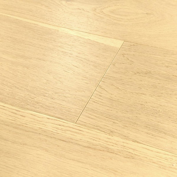 Take Home Sample - Sand Dollar Oak Engineered Hardwood Flooring