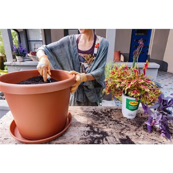 evergreen garden plant Pre-planned Evergreen Structure Garden Plan – Plants by Mail