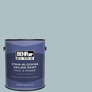 1 gal. #PPU13-14 Ozone Ceiling Flat Interior Paint & Primer