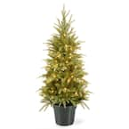 National Tree Company Feel-Real Hampton Spruce Small Wrapped 3 ft ...