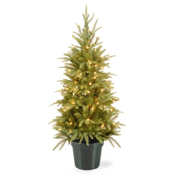 National Tree Company 4 ft. Weeping Spruce Artificial Christmas Tree with Clear Lights