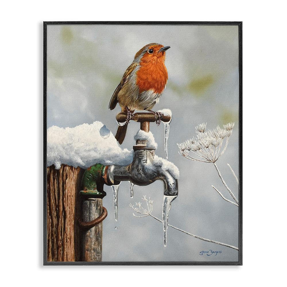 Robin Bird and Winter Scene by Steve Burgess 1 Piece Framed Graphic Print Animal Poster Art Print 20 in. x 16 in. price history on PriceWatchPro