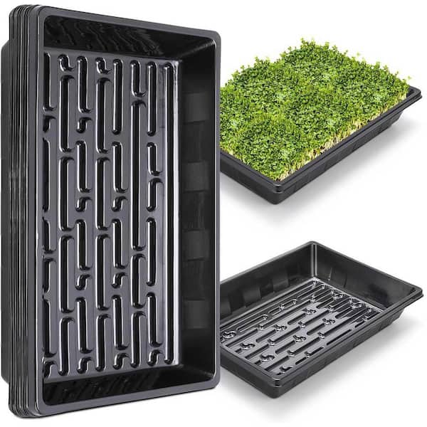 10-Pack Plant Growing Trays Reusable Durable Plastic No Holes Microgreens Seed Starter Transplant Flats