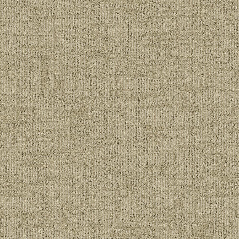 8 in. x 8 in. Pattern Carpet Sample - Wheatfield -Color Haylo price history on PriceWatchPro