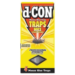 Mouse Plastic Glue Trap, 4 Traps/Box (12 Boxes/Carton)