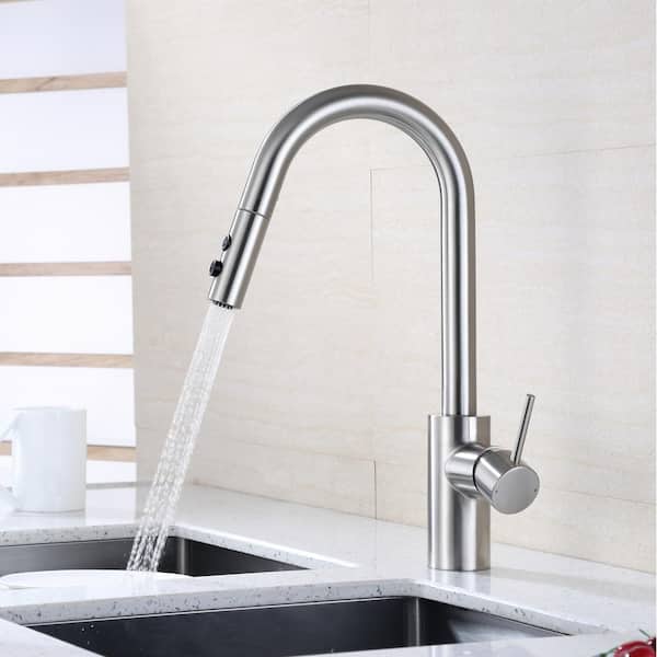 LUXIER Single-Handle Pull-Down Sprayer Kitchen Faucet with 2