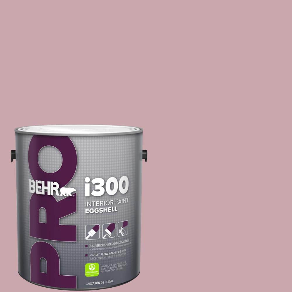 1 gal. #MQ1-04 Dutchess Dawn Eggshell Interior Paint price history on PriceWatchPro