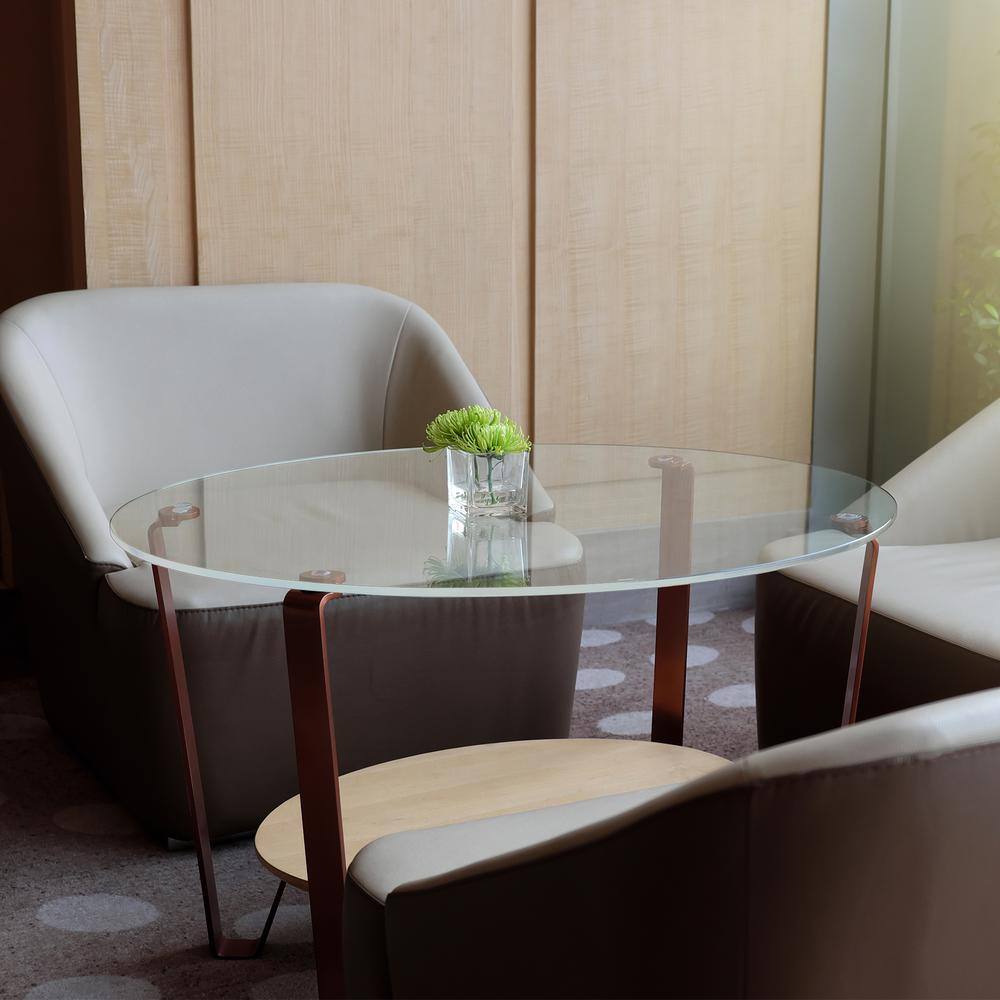Clear Round Acrylic Sheet Tabletop Disc 16"