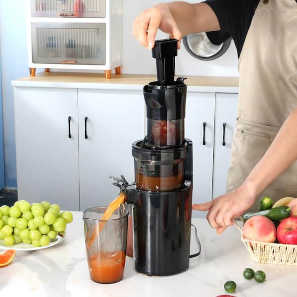 VEVOR Masticating Juicer, Cold Press Juicer Machine, Juice Extractor Maker  with High Juice Yield, Easy to Clean with Brush, for High Nutrient Fruits