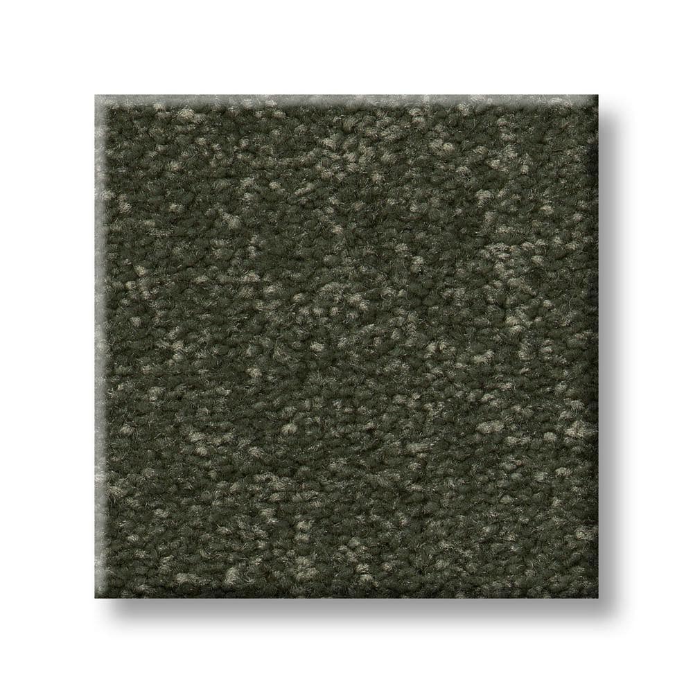 8 in. x 8 in. Texture Carpet Sample - Blakely I -Color Myrtle price history on PriceWatchPro