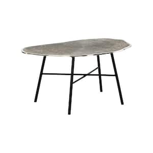22.5 in. Silver and Black Specialty Metal Coffee Table with Iron Legs