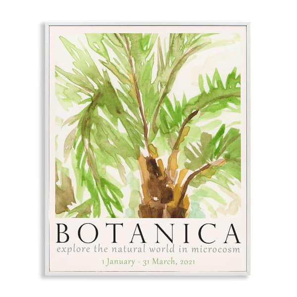 Stupell Industries Botanica Poster Palm Tree by June Erica Vess White Framed Nature Giclee Art Print 20 in. x 16 in.