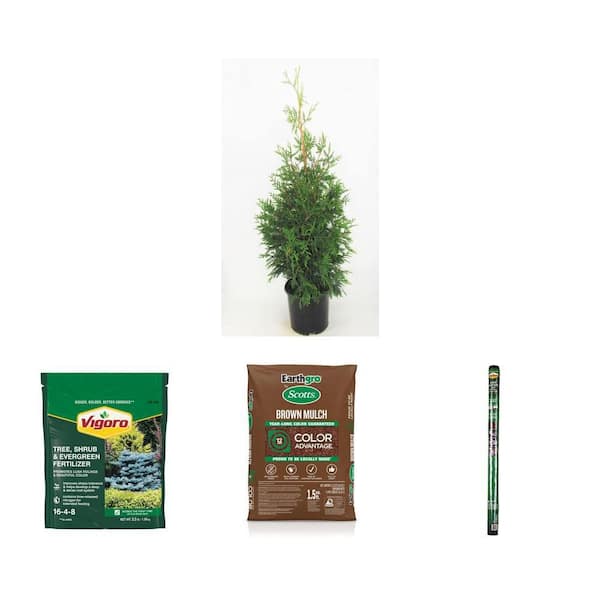 3 Gal. Green Giant Arborvitae Shrub, 3.5 lb. Plant Food (16-4-8), 1.5 cu. ft. Mulch and 3 ft. x 50 ft. Weed Barrier 