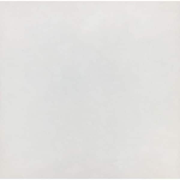 Unbranded Sonoma White 18 in. x 18 in. Ceramic Floor and Wall Tile (2.18 sq. ft./Each)