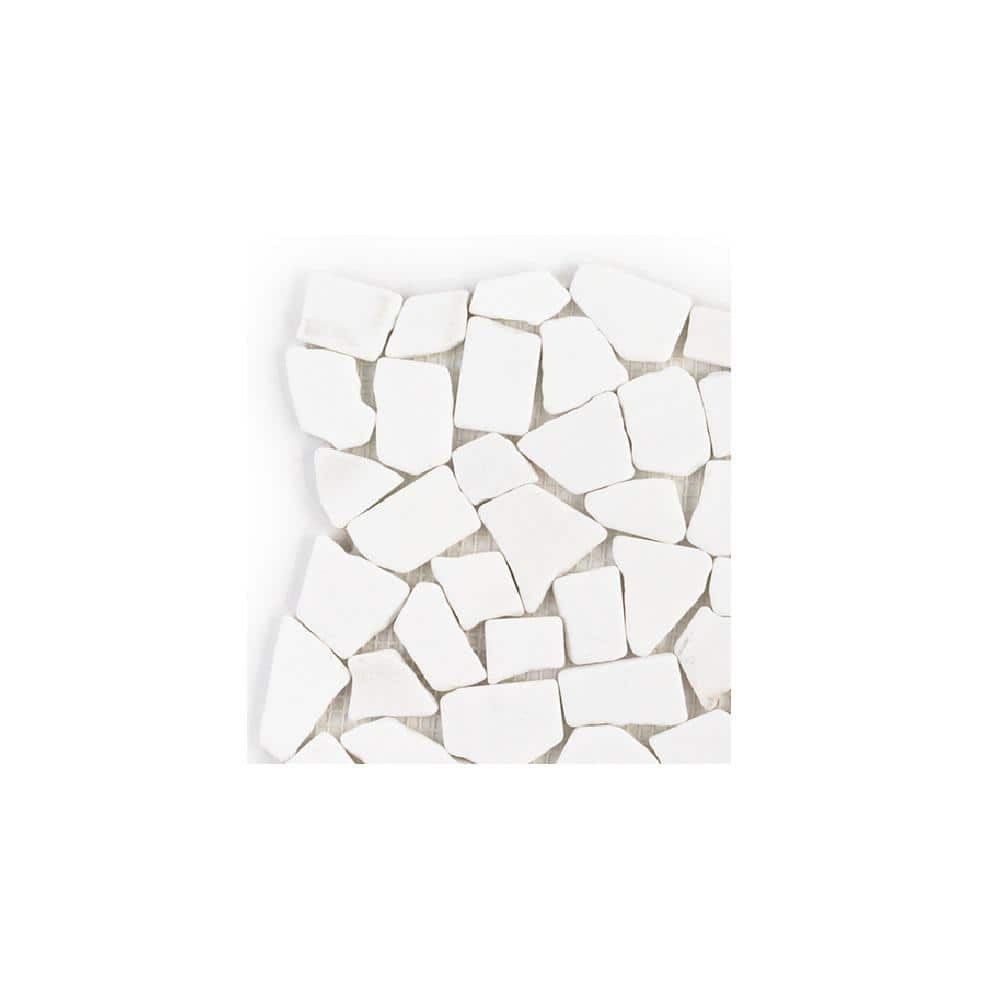 Take Home Tile Sample - Cloudburst Thassos White 4 in. x 4 in. Pebble Honed Marble Wall and Floor Mosaic Tile price history on PriceWatchPro