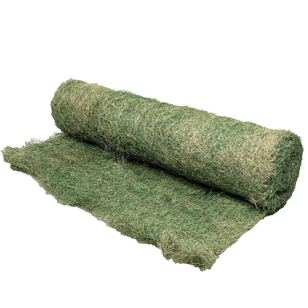 [値下げ中]DECORTE ENVIRONMENTAL DAY CLEAM DECON-QUAT 100 Veltek Associates, Inc.