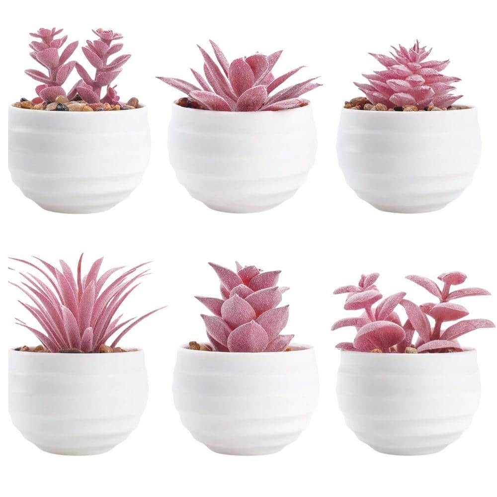 3 in. H Pink Indoor Succulents Artificial Plants in Pots Small Fake Plants  for Room Decor Office Desk Accessories PH03959B008 - The Home Depot