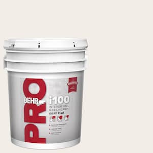 5 gal. #RD-W10 New House White Dead Flat Interior Paint