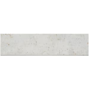 Serenite Vantage White/Brown 4 in. x 15 3/4 in. Smooth Ceramic Subway Wall Tile Sample