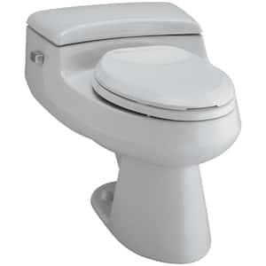 San Raphael 12 in. Rough In 1-Piece 1 GPF Single Flush Elongated Toilet in Ice Grey Seat Included