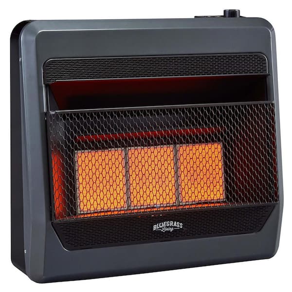 BLUEGRASS LIVING 30,000 BTU Natural Gas Unvented Infrared Gas Heater With  Blower and Base Feet 200092 - The Home Depot