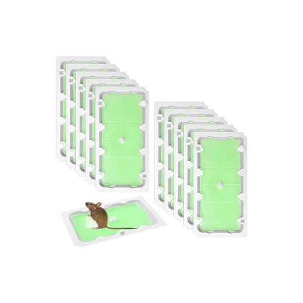 Indoor Super Sticky Non-Toxic Pre-Scented Safe Rodent Mouse and Rat Trap Pest Control 10-Pack