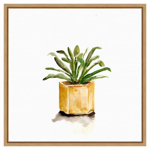 Amanti Art Potted Botanicals II by Marcy Chapman 22-in. W x 22-in. H. Canvas Wall Art Print Framed in Brown