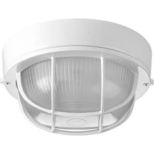 Bulkheads Collection 1-Light White Etched Ribbed Glass Modern Indoor/Outdoor 8" Flush Mount Light
