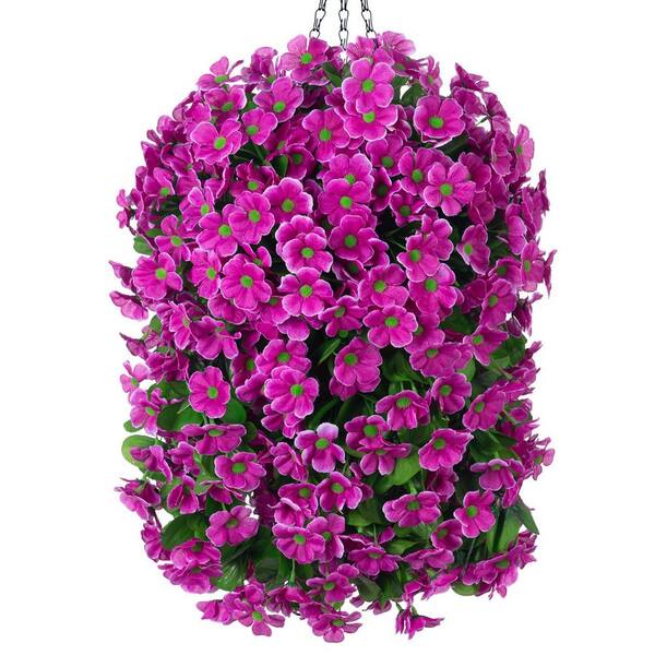Best HD Pictures about  Home Depot Hanging Flowers  with No AI Images