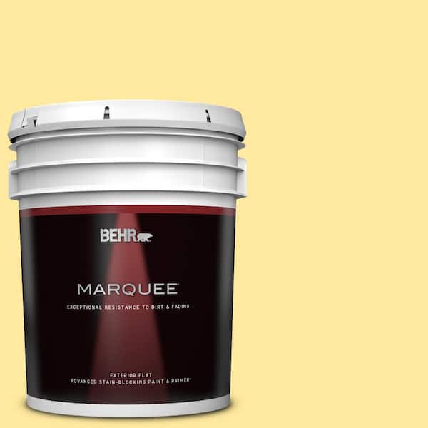 BEHR MARQUEE 5 gal. #P300-4 Rise and Shine Flat Exterior Paint & Primer