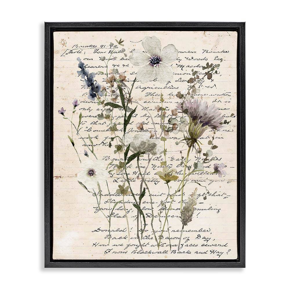 Pressed Flowers on Page by Carol Robinson Black Floater Frame Nature Graphic Art Print 21 in. x 17 in. price history on PriceWatchPro