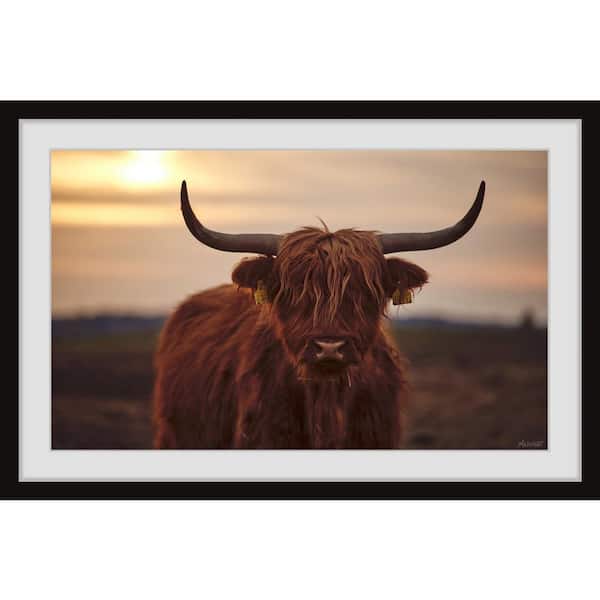 Unbranded "Sunset and Cows" by Marmont Hill Framed Animal Art Print 16 in. x 24 in.