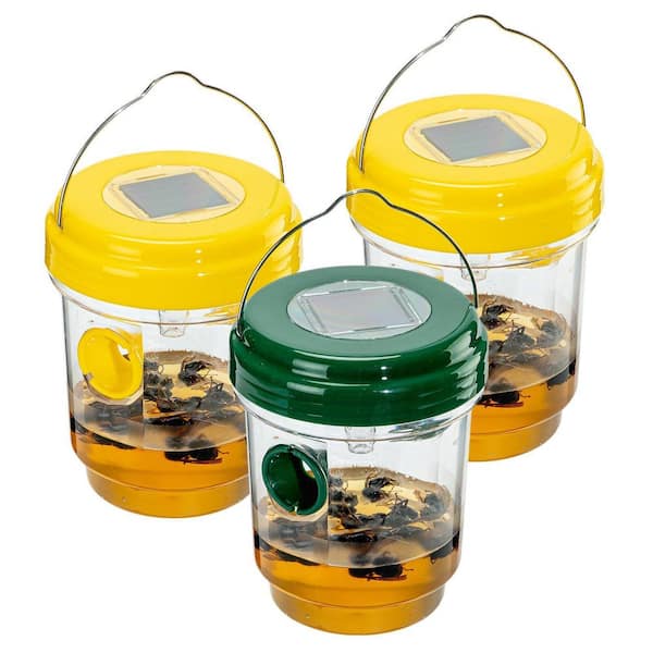 Outdoor Wasp Trap Hanging Eco-Friendly Pet-Safe Weather-Resistant Detachable Easy Install Effective Control 3-Pack