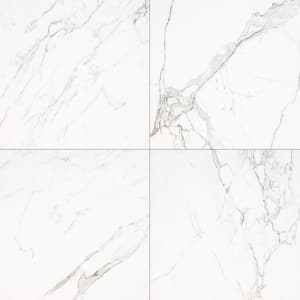Regallo Calacatta Isla 24 in. x 24 in. Matte Porcelain Floor and Wall Tile (40-Cases/465.12 sq. ft./Pallet)