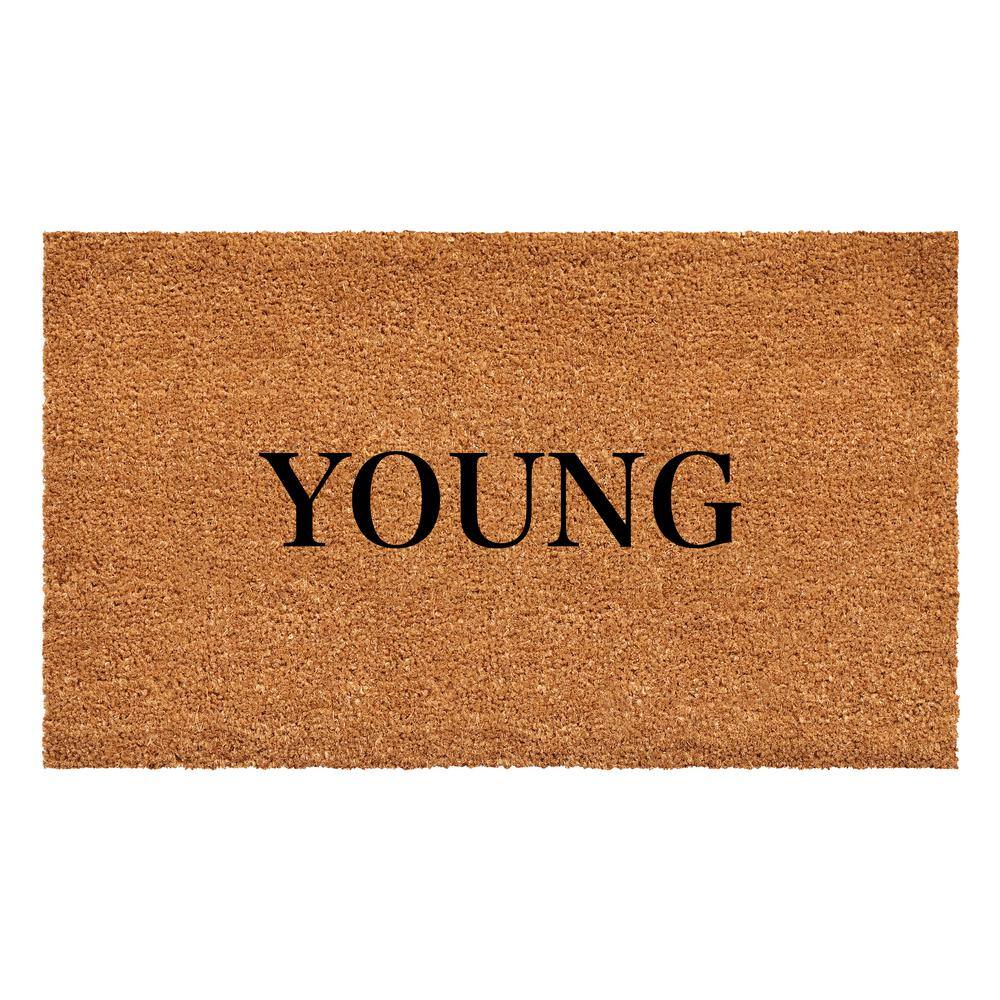 Bold Young Multi-Colored 17 in. x 29 in. Indoor or Outdoor Doormat price history on PriceWatchPro