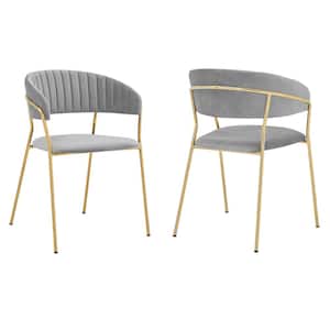 Nara Gray Velvet and Gold Metal Dining Chairs (Set of 2)
