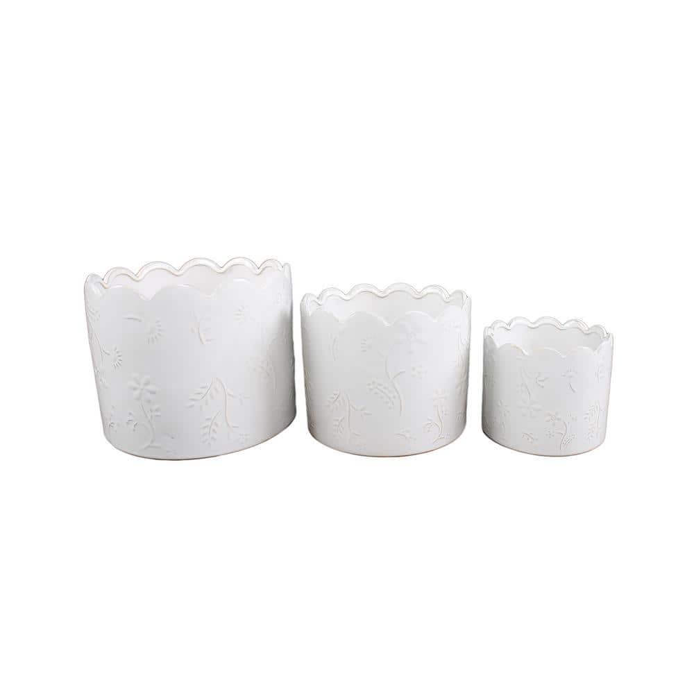Set of 3 Scallop Wild Flower price history on PriceWatchPro