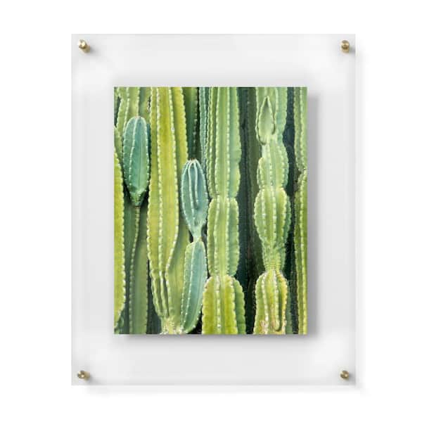Mikasa 16 x 20 in. Clear Matted Floating Picture Frame, Acrylic-11 x 14 in. photo with mat