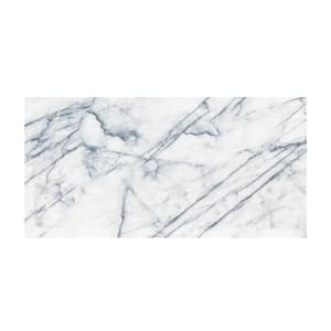 Raphael Gray 24 in. x 48 in. Polished Porcelain Stone Look Floor and Wall Tile (8 sq. ft./Each)