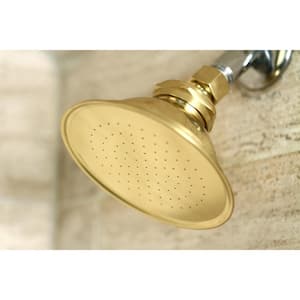 1-Spray 4.9 in. Single Wall Mount Fixed Rain Shower Head in Polished Brass