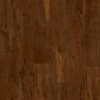 Take Home Sample - 5 in. x 7 in. Hampshire Spalted Maple Laminate Wood ...