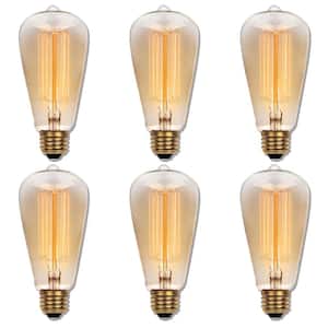 60-Watt Timeless Vintage Inspired Incandescent ST20 Light Bulb (6-Pack)