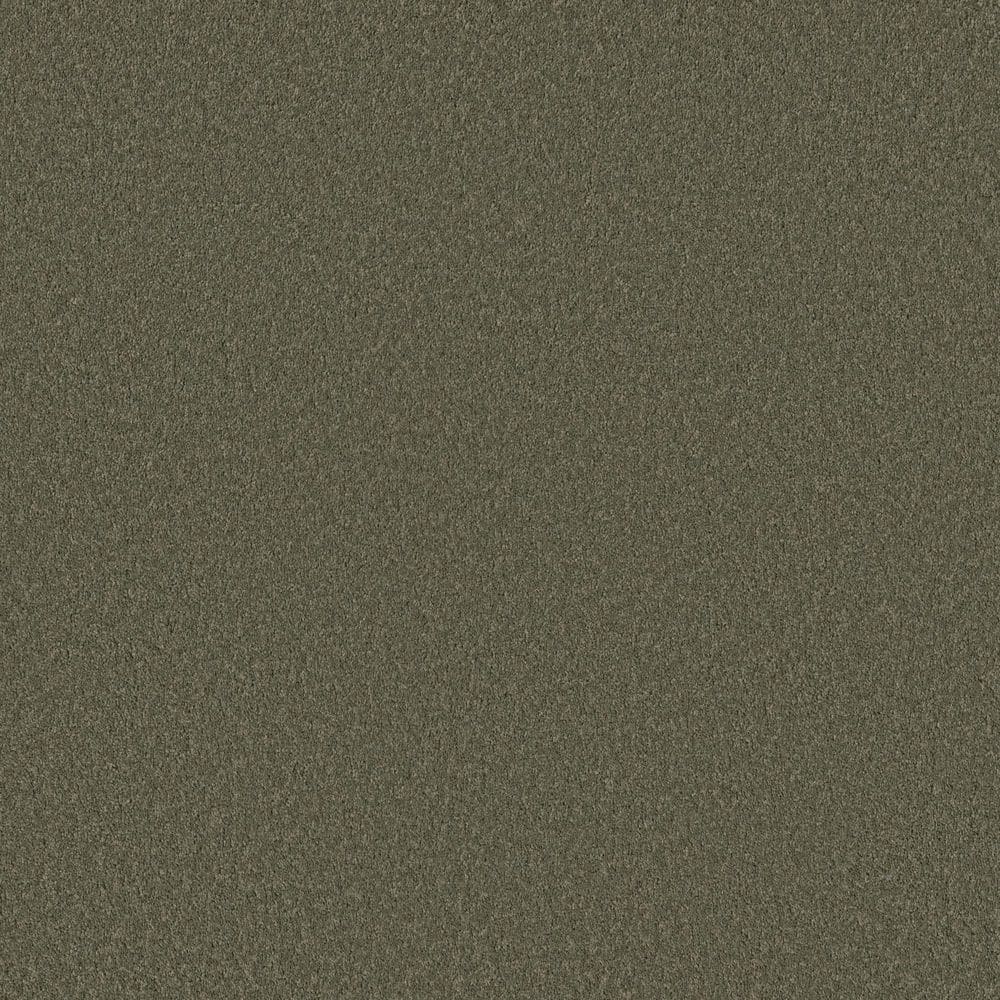 8 in. x 8 in. Texture Carpet Sample - Vignette Velvet II - Color Fern price history on PriceWatchPro
