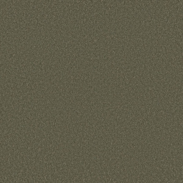 8 in. x 8 in. Texture Carpet Sample - Vignette Velvet II - Color Fern