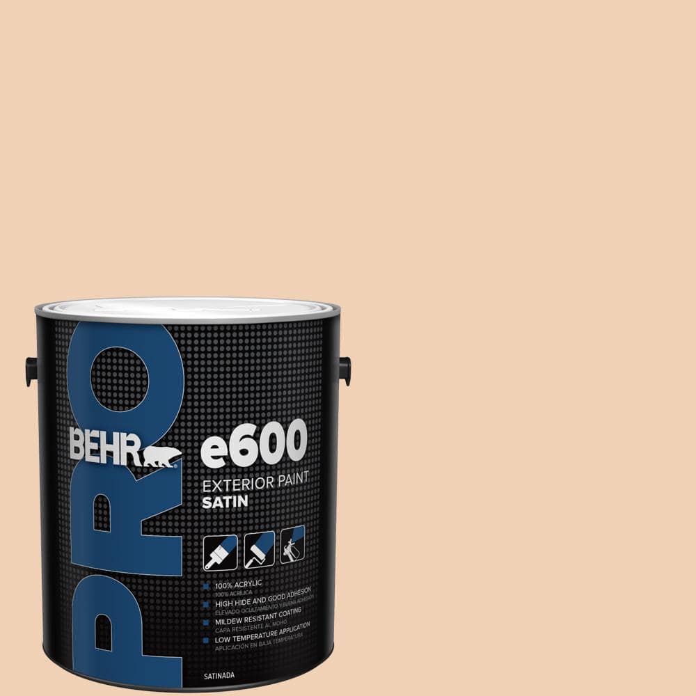 1 gal. #PPU3-07 Pale Coral Satin Exterior Paint product image for price tracking
