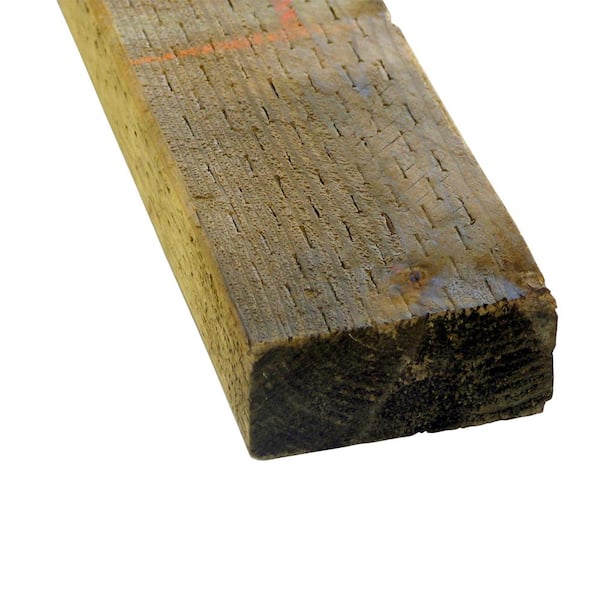 Unbranded 2 in. x 4 in. x 16 ft. Douglas Fir Standard and Better Pressure-Treated Lumber (Actual: 1.56 in. x 3.56 in. x 192 in.)