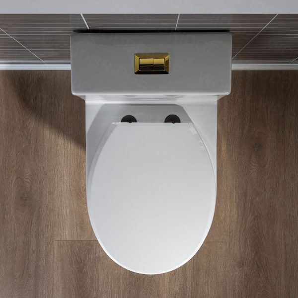 Fine Fixtures MOTB7GO-O One-Piece Dual Flush Free-Standing Toilet,1 & 1.6 GPF, Shiny Gold at KBA Home Studio