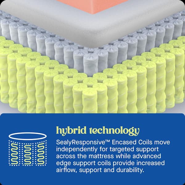 Dreamlife Twin Soft Hybrid 14 in. Bed-in-a-Box Mattress